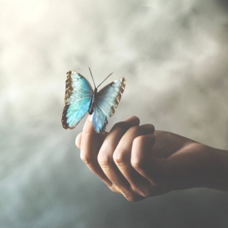 Scholarships for CYME Holistic Model
